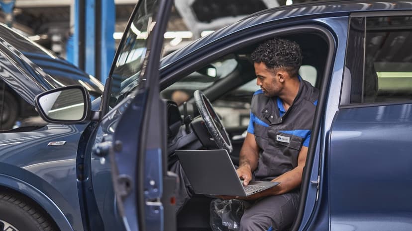 Ford Diagnose